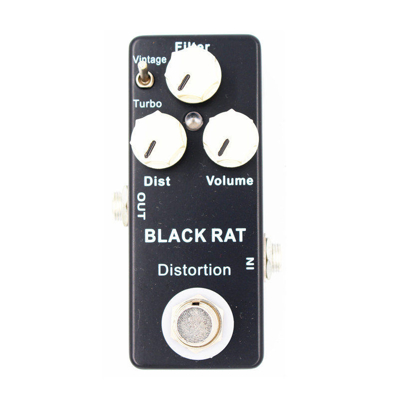 Black Rat
